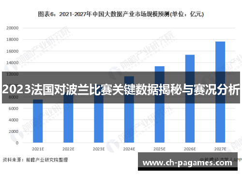2023法国对波兰比赛关键数据揭秘与赛况分析